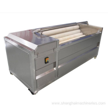 Automatic Fruit Peeling Machine